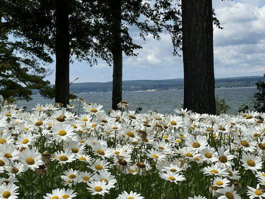 Overlooking a garden on the property.