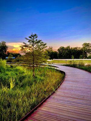 Boarded pathways and lush lake greenery.