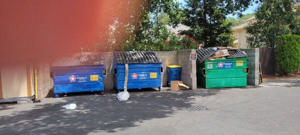 Overflowing garbage scans garbage on the ground