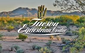 Tucson Equestrian Center, known nationwide for performance horse training, specialized rehab, conditioning, mare care and sales.