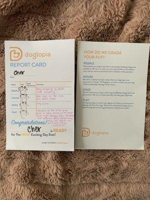 Temperament report card for the intro trial analysis before they accept your pup into the pack.