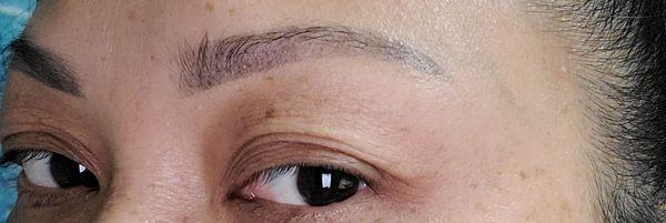 Botched ombre brows by Jessica lynn