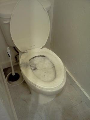 Our toilet, post-plumbing disaster.