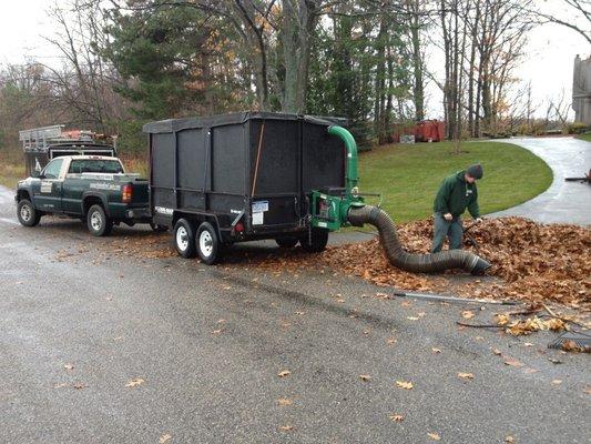 Yard Clean-Up in Suttons Bay, MI