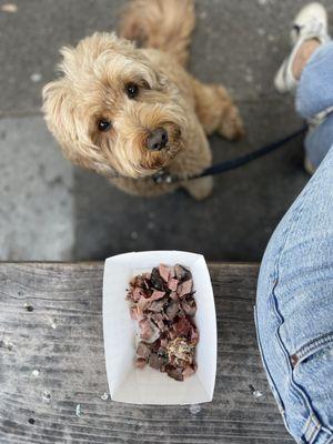 Very happy doggo who got some meat scraps while we waited, an unexpected and wonderful treat.