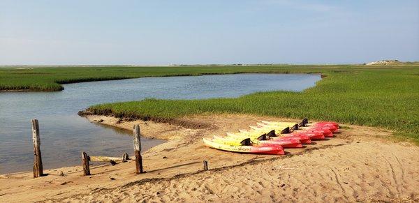 7-7-21.  Kayak tours in Provincetown