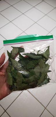 Curry leaves