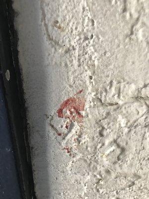 Blood on the walls in the common area.