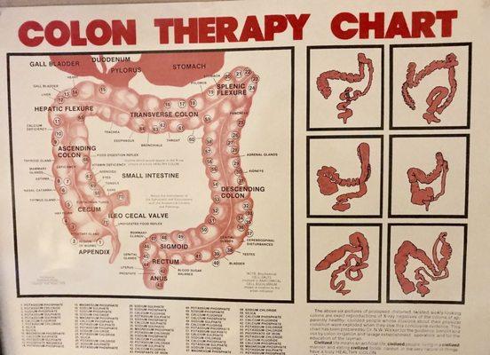 Colon chart