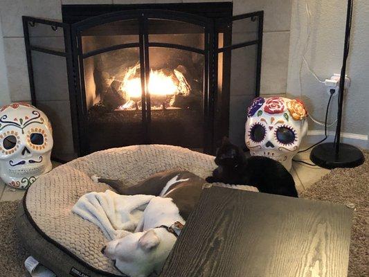 The pets are loving our newly fixed fireplace! Thank you!