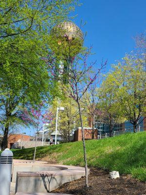 The park is gorgeous in the spring.