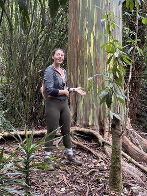 Kona Cloud Forest Sanctuary