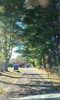 Starlite Drive In, in autumn.