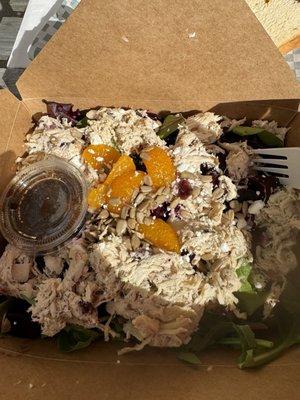 Beet Salad topped with chicken salad