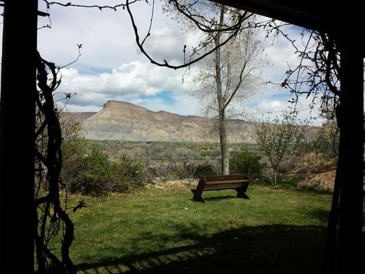 View from porch is tasting room