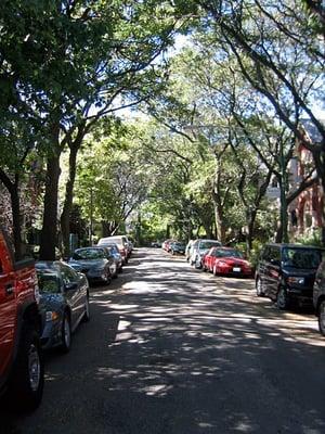 Caton St., Wicker Park, Chicago, IL