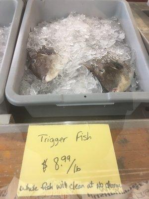 Trigger fish. These are absolutely delicious