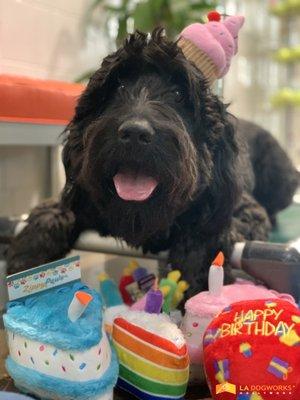 Titan has a big heart full of love for everybody! Happy 3rd Birthday, Titan!!