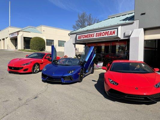 Ferrari service in san Ramon CA