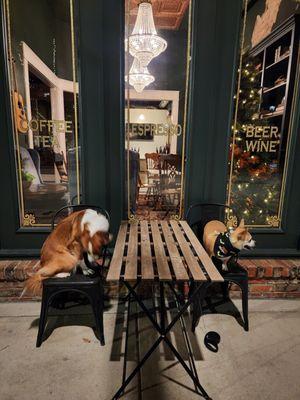 Even Dogs love Coffee on Broad