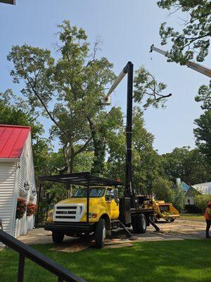 Andy's Tree Service