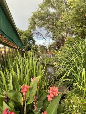 View of the pond in the patio area.