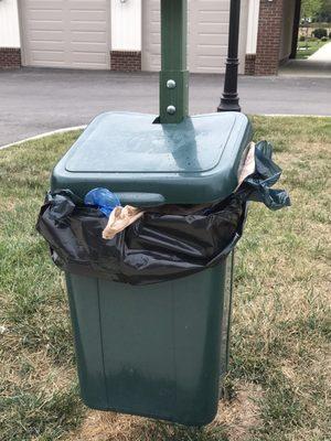 DOG POOH Bins ARE ALWAYS OVERFLOWED and open Pooh bags on ground. Horrible smell near our units.  Management doesn't care to fix.