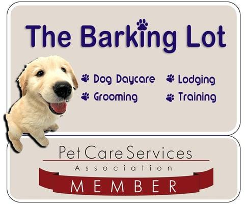 Dog Daycare in Providence