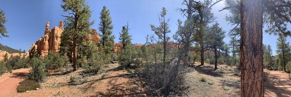 Trail with amazing views behind the visitors center