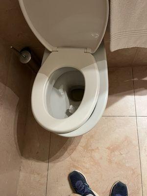 Hotel toilet seat sliding off the side. 2.5 stars at best.