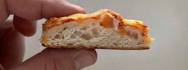 Cross section of the 'Square Pie," not a favorable "crust to cheese/sauce" ratio, IMHO.  Stick with the thin crust.