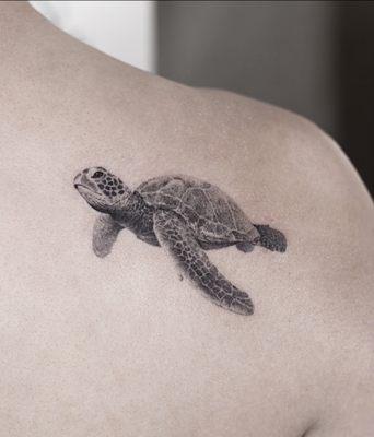 Micro realistic Turtle by: Igor