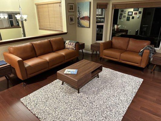 Leather sofa and loveseat.