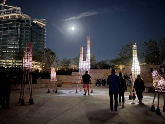 Light installation at Waterloo Park