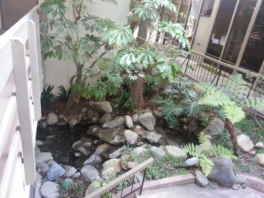 Zen like waterfalls are found in two locations near the office, providing calming coming and going.