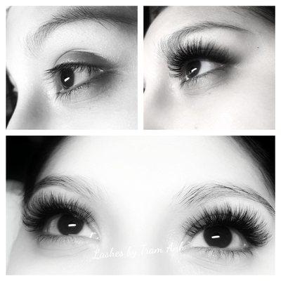 Dramatic Volume Lashes