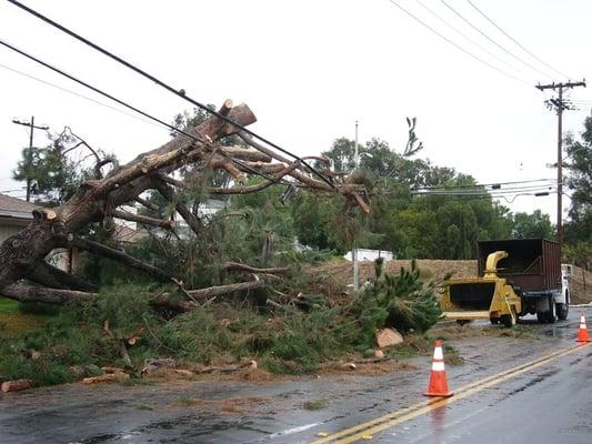 Reliable Tree Service