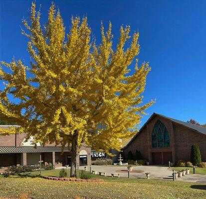 Outside of our church campus on a beautiful Fall day.