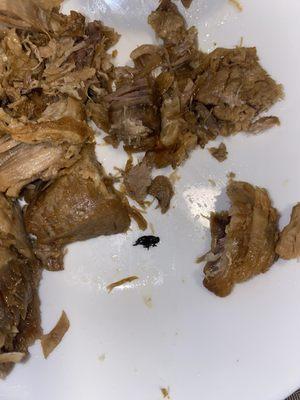 Una MOSCA en las Carnitas!!!