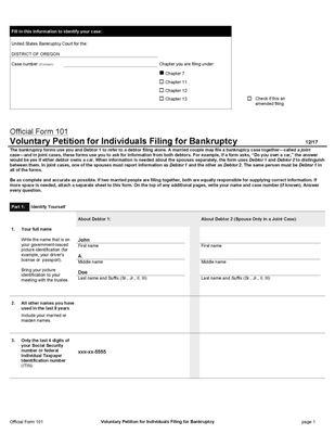 Chapter 7 Voluntary Bankruptcy Petition