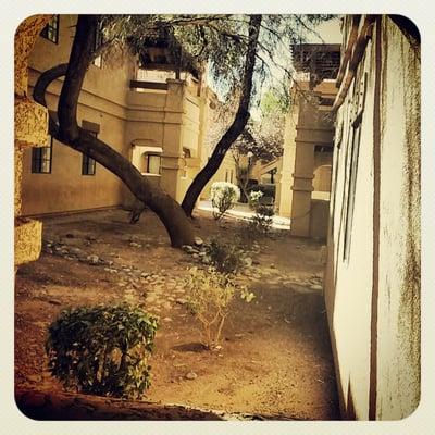 This is one of the landscape features in between the buildings. I love the paths that wander around the complex.