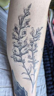 Snapdragons on inner left shin by Lo, 2.5 weeks healed