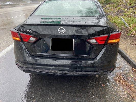 Rear Bumper and Trunk (Before Repair)