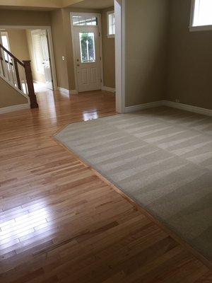 Wether you are buying or selling your home, we are here to help with your carpet cleaning!