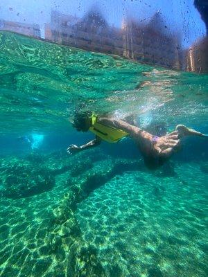 Snorkeling with the fish