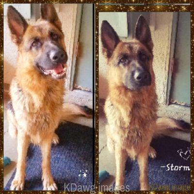 Von "Storm" looks so forward to seeing his buddy  Christian, who works at the facility.