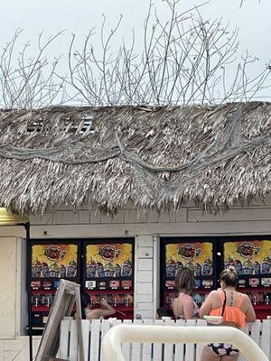 Dead trees not removed from falling down slushee area