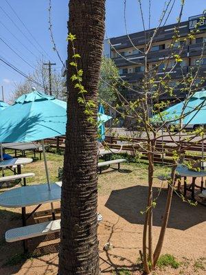 Outdoor patio area.