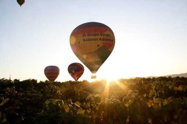 A Grape Escape Balloon Adventure