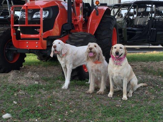 Our greeters are the friendliest!